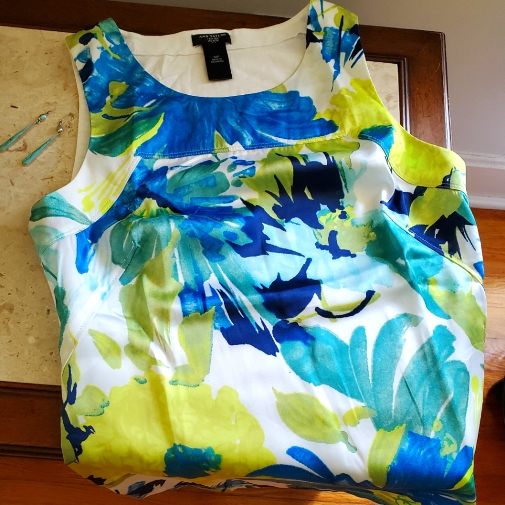Ann Taylor xsp top